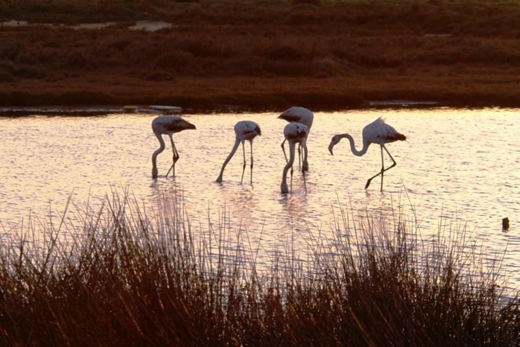 Dunas Do Alvor - TorrАлвор Экстерьер фото